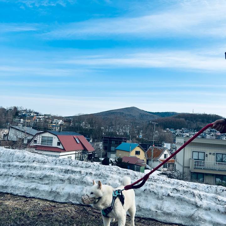 58ca2953 7e2f 4f6c b535 6ac718ea8851 1744237317573