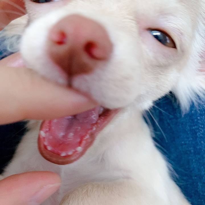 58ca65fa 3ddf 415c a1d6 95e0b6cd7525 1593402999763