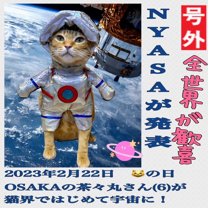 58ca7e25 7bfb 4060 a268 4a6b3f6bb149 1677017929558