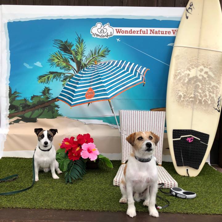 58ca82f6 fc3f 4826 9912 3f87007b5e94 1566386838435