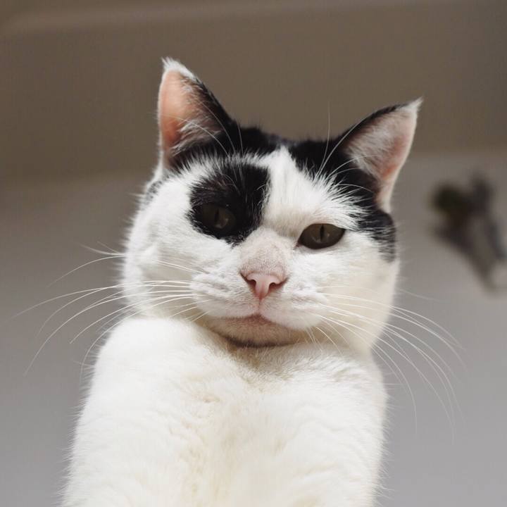 58ca9861 1153 460b 9d36 a4e45853f52f 1549272335977