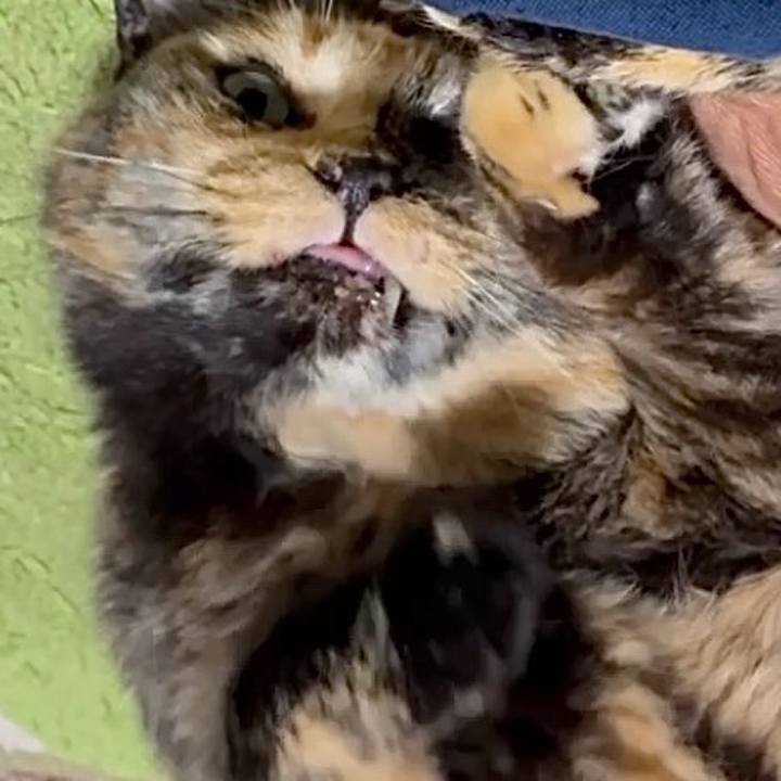 58ca9a5c 33a5 49bf ad80 1d301cf661e5 1749240986956