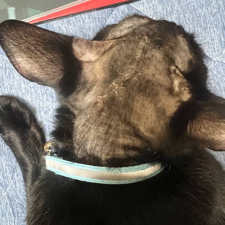 58cafb25 10a2 4bb4 894d c045aaa6cb3d 1763869543361