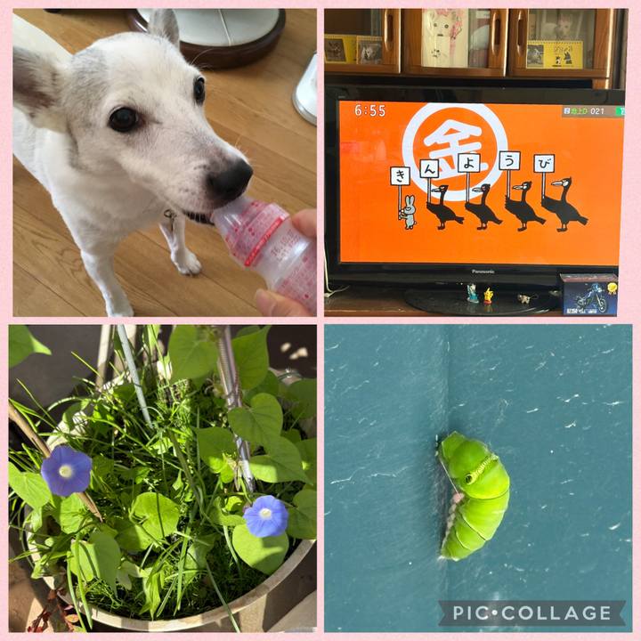 58cb0eee 9e15 4bad 8cf6 707b1490f0ea 1760047223804