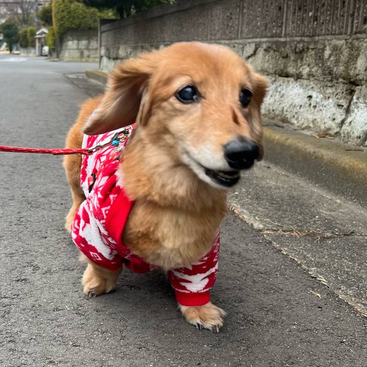 58cb3e6e 76e9 461a 8df2 9efd9ee4817a 1643115274509