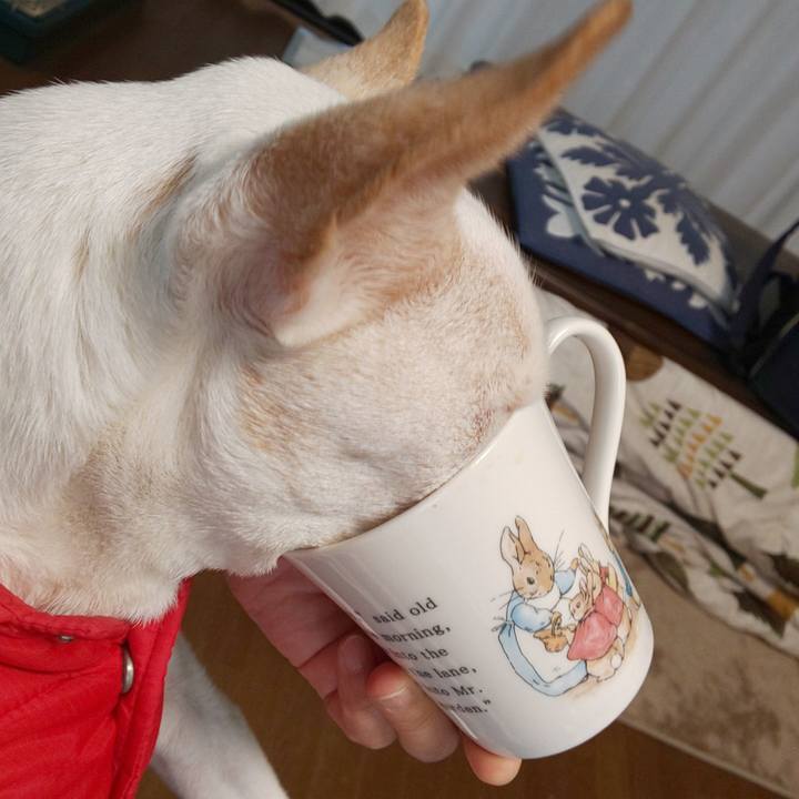 58cb5546 19e7 4eea 9725 e10f63593867 1543620090657