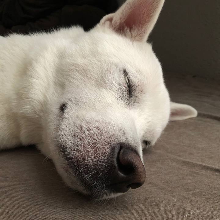 58cb5608 8564 4a86 9d75 c7bad60d64c7 1578481237501