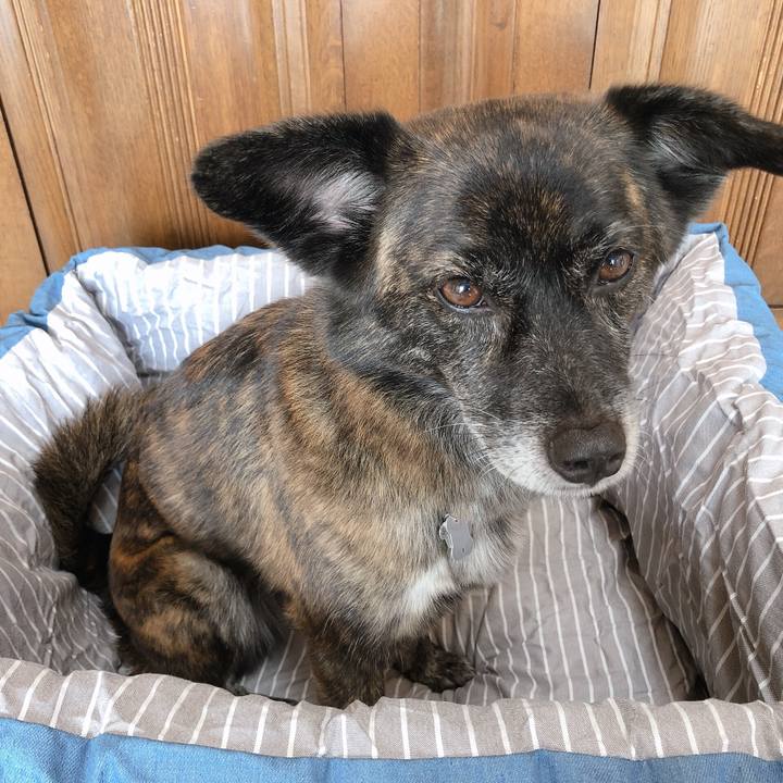 58cb622a dde5 4e57 a8cb 44cd1ec3a9fc 1568871006524