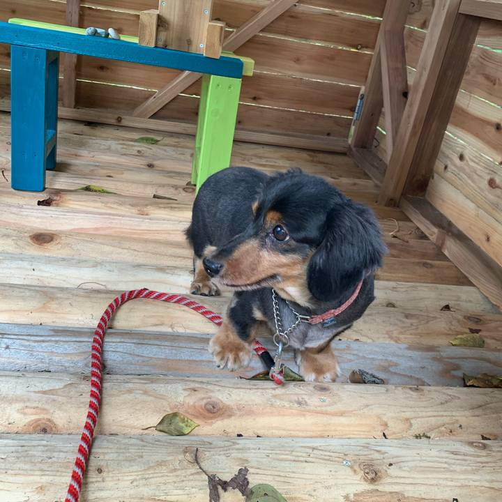 58cb9528 8712 4fa5 9aa7 13204617afd2 1600569289791