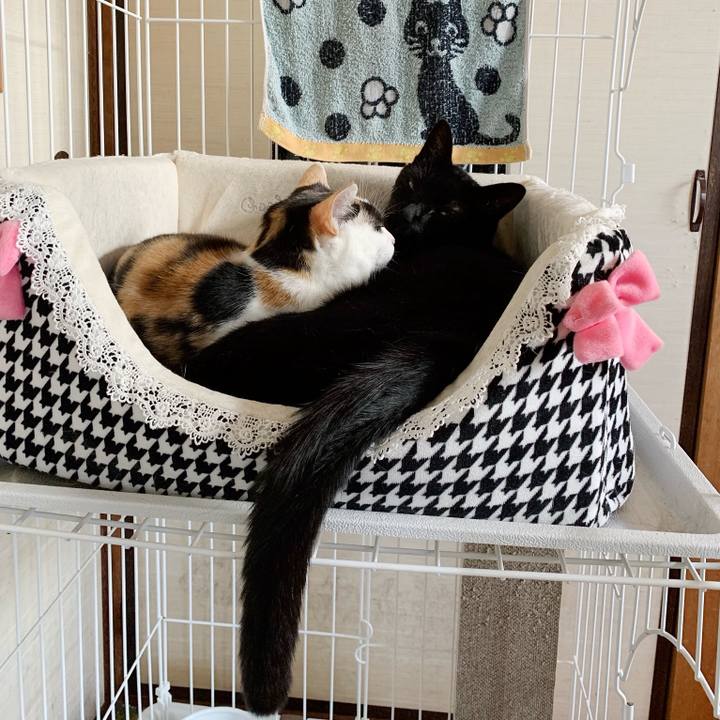 58cbb589 87e5 4cf5 b401 6bb2ec5d24fb 1544666063424