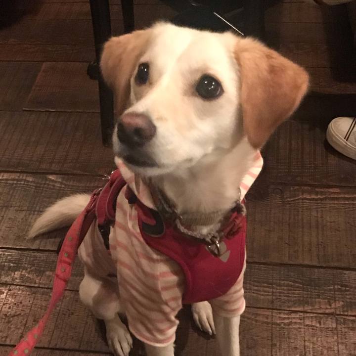 58cc058f eabd 4599 8096 47f11a0756cd 1540726815128