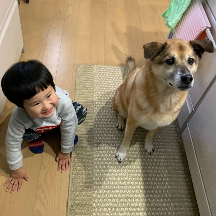 58cc1036 0e21 41a2 9d45 5052b6f8f930 1554019001689