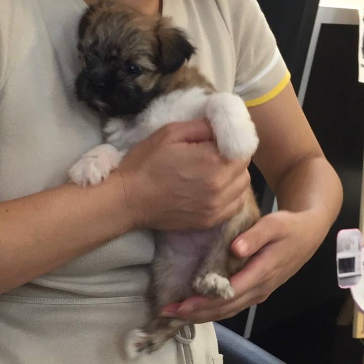 58cc240f 2b63 49d9 b2a4 05fb3eb244ee 1619016526561