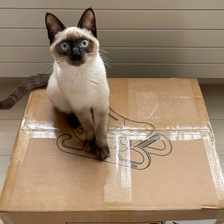 58cc25bd dc20 47cd bc17 889b647af9c9 1700708773012