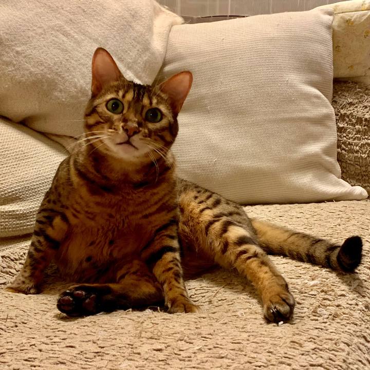 58cc2e4b d23c 4c92 aa9f 8450150b63db 1567474747971