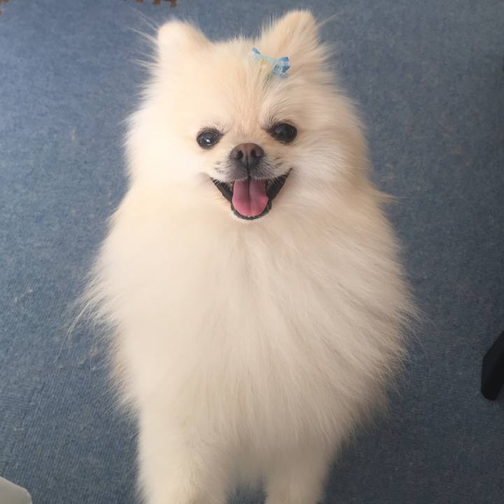 58cc36cf a82c 4b6f 9def af9601f0769b 1542947777375