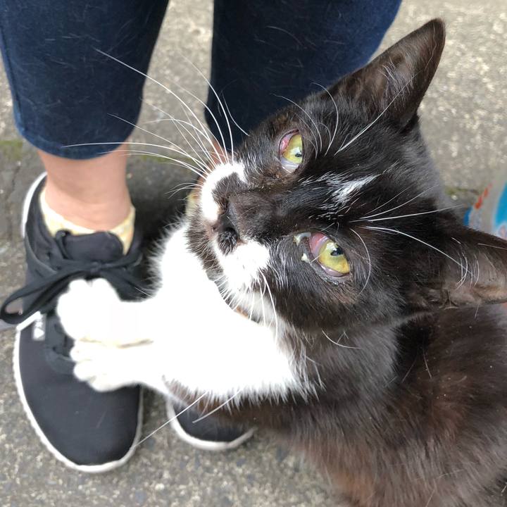 58cc3988 1f88 4d6c 9157 bd4d59fc3f78 1523206581285