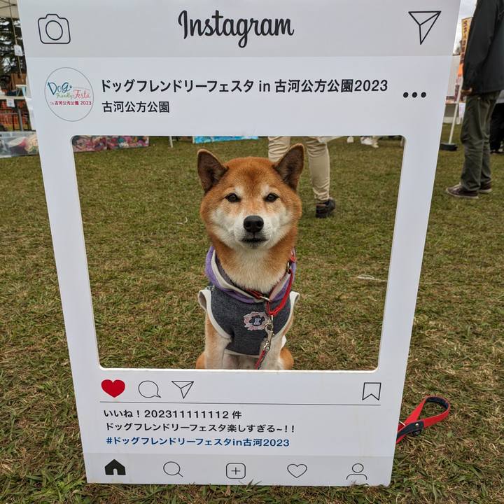 58cc48c6 7793 44cc b9af 652ed15e2058 1699713674023