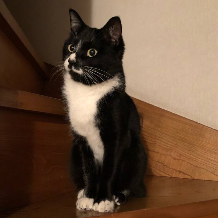 58cc4a5d bc52 4b79 80e6 678af881e7c0 1554090922953