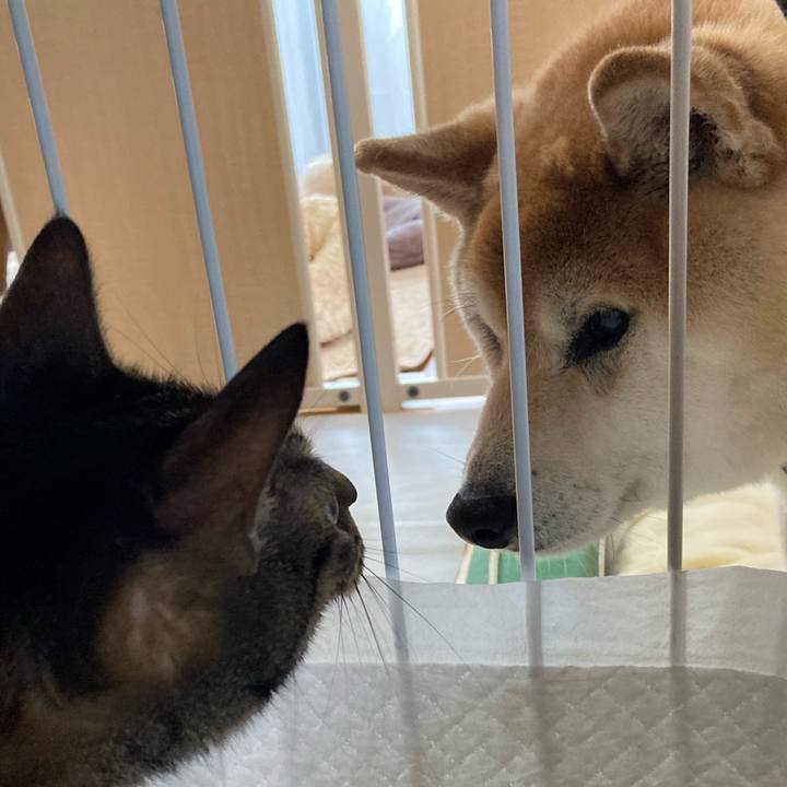 58cc8abf 4266 4af0 8dc8 aa03b7113b34 1615783445773