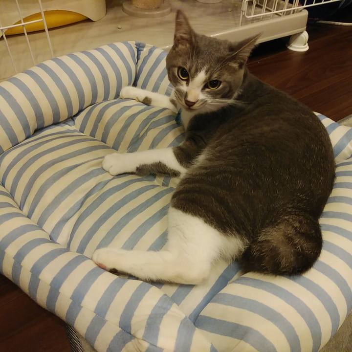 58cca125 dd8f 4cda b266 af1a5ae13046 1593867378394