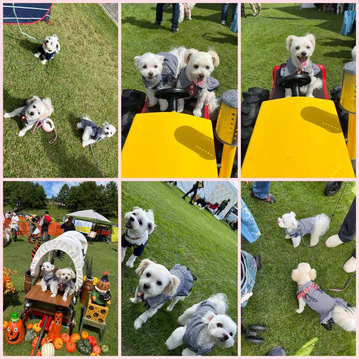 58ccac96 29a7 42b7 a47b f252331c52e5 1663421512127