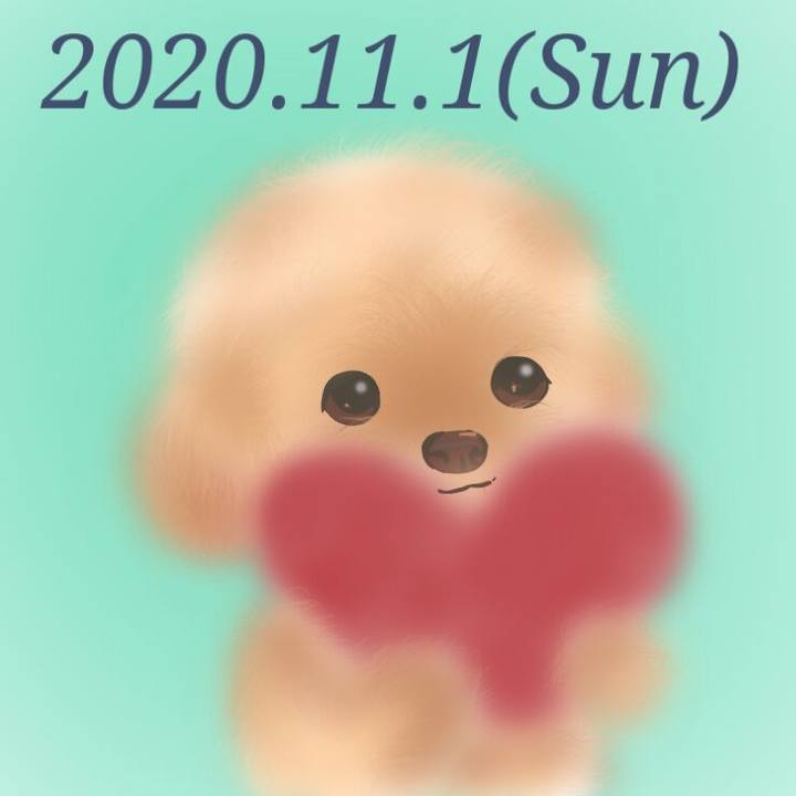 58ccb774 4d28 4ed2 890b f3d72b951e19 1604232317390