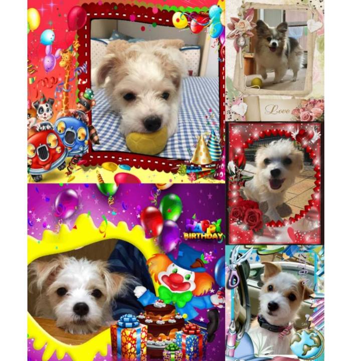 58ccc60e 0039 4808 9b10 38d859fe221a 1561127122970