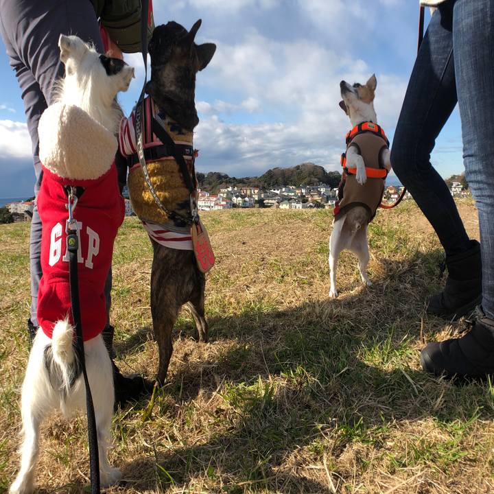 58cce199 d6ed 4ced 8817 b7126d544ae7 1545995270851