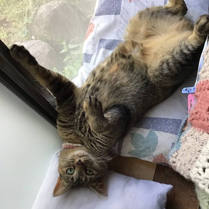 58cce6fd 4bfb 4f38 ac32 9ad2ecd99adf 1624948796958