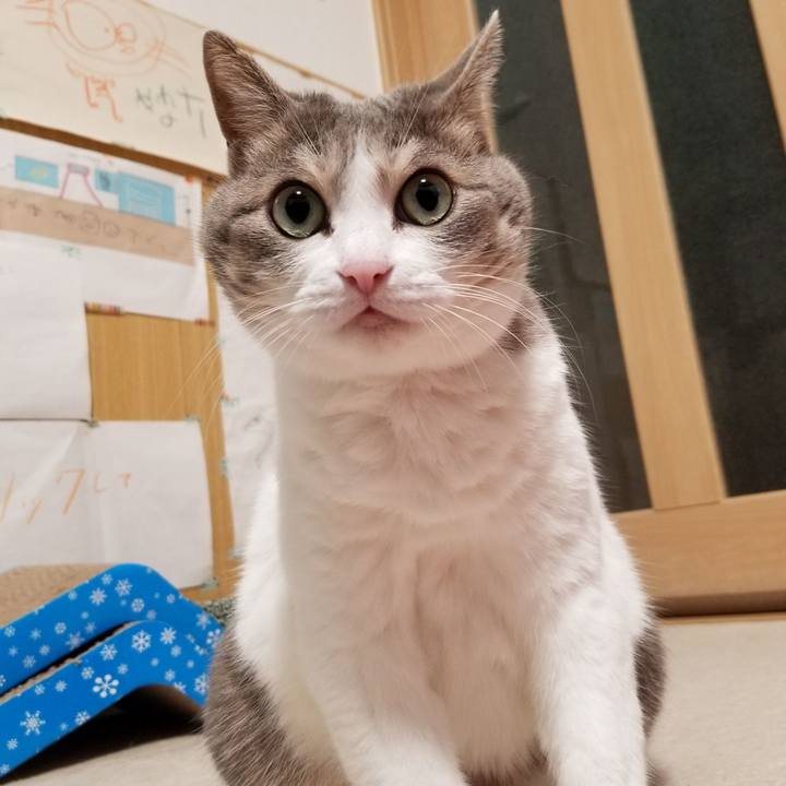 58cd7eca 213f 4956 b91a ff347c02f212 1634566599235