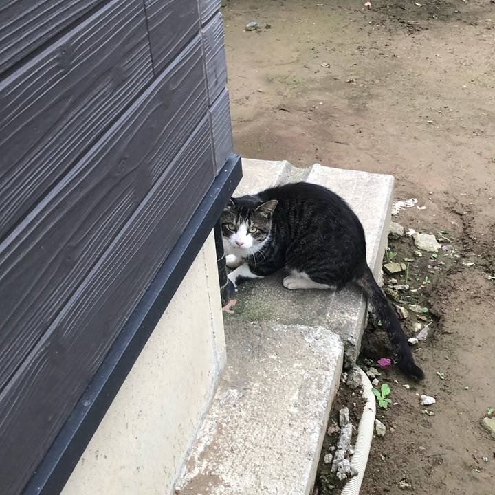 58cda2e9 21de 41ba 9c48 ec476c1b790d 1562724423460