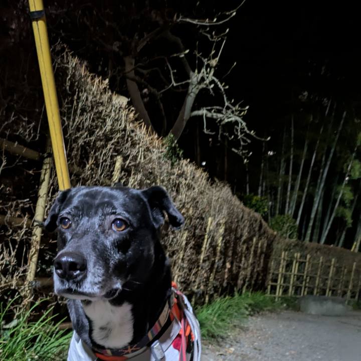 58cda30a 7468 4711 8124 ba2811007cb7 1737723730299