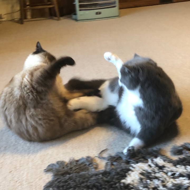 58cdc098 b751 49a3 b84f 2634c2ada6ae 1615207161532