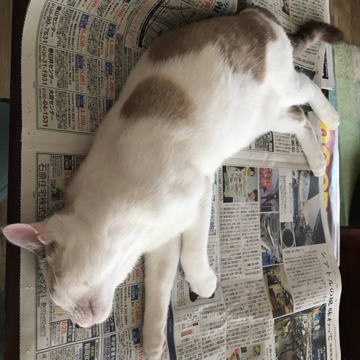 58cdceb5 fbd9 4fc8 8fa0 dc39c9211965 1538793390669