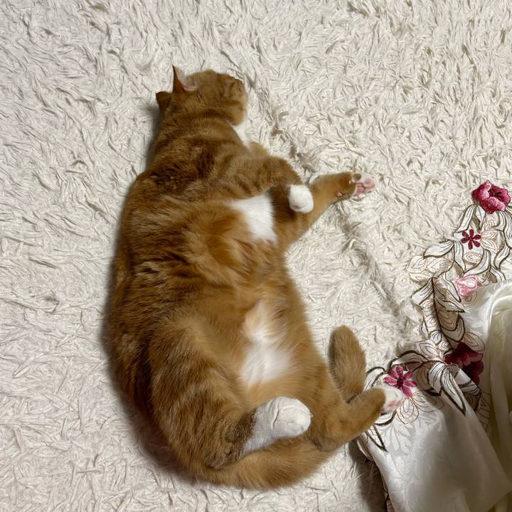 58cdddc1 9902 4e87 b222 45f769369b71 1657802459667