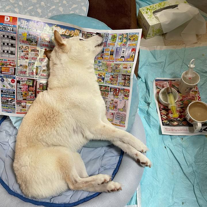 58cde054 70d7 4ea3 8f4b f9f0ff316c31 1656505588831