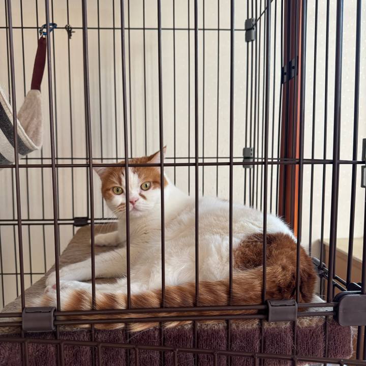 58ce0972 edb9 44c3 8662 543a19f11bfb 1769739730969