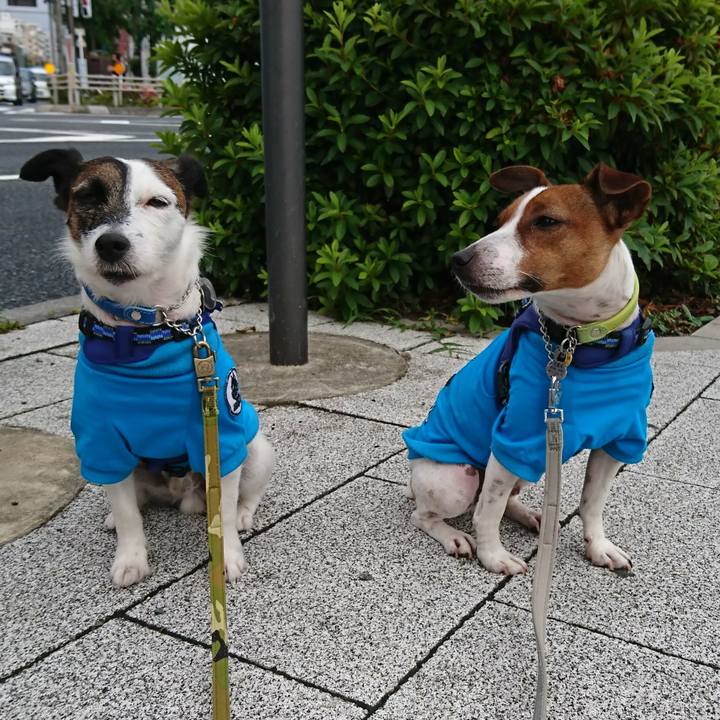 58ce1986 41fe 4882 8a77 762c4d635b5c 1560205647742