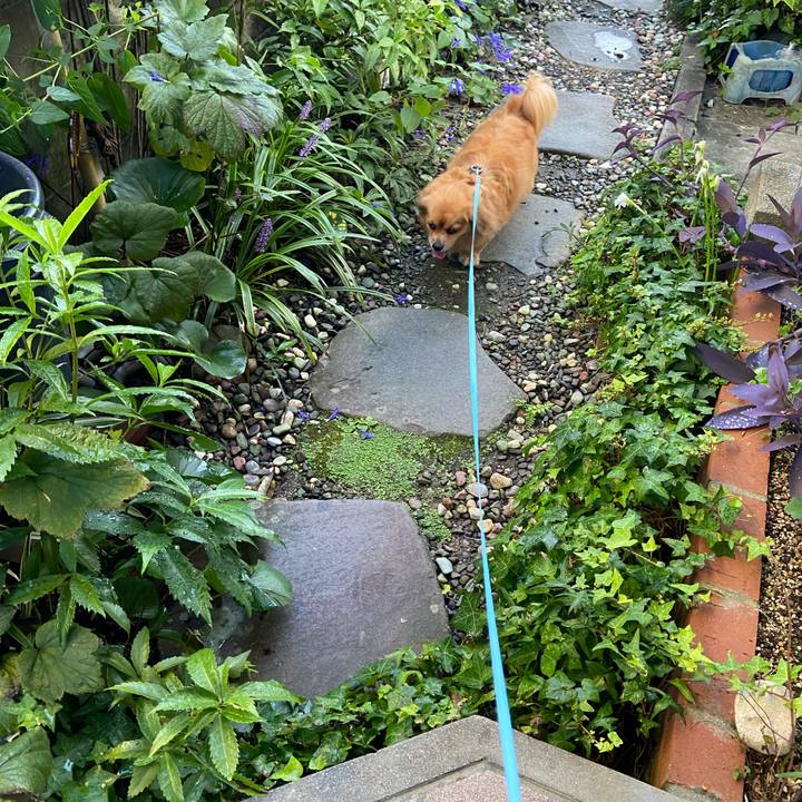 58ce4261 89b6 499e b3e5 387263b1e8fe 1601072057498