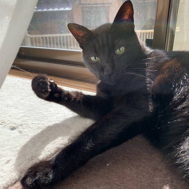 58ce8213 3de9 4a7d 940c b1bc621becba 1538530556975