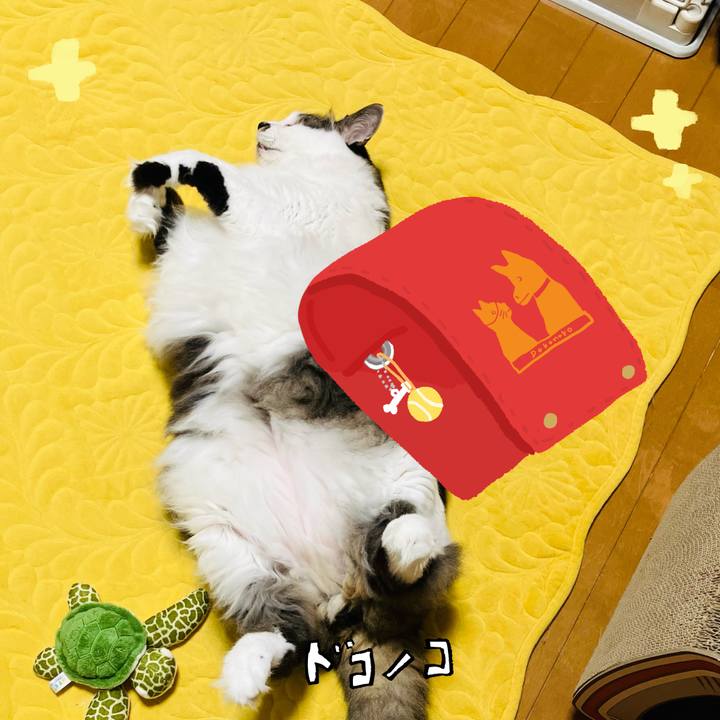 58ceacd1 e492 478c 96c7 f0b78ddd7258 1744251180827