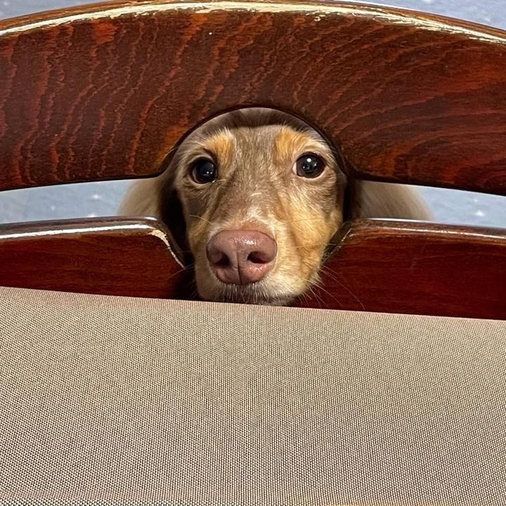 58cee228 60b1 4c22 804e 0badd0db078a 1762816287007