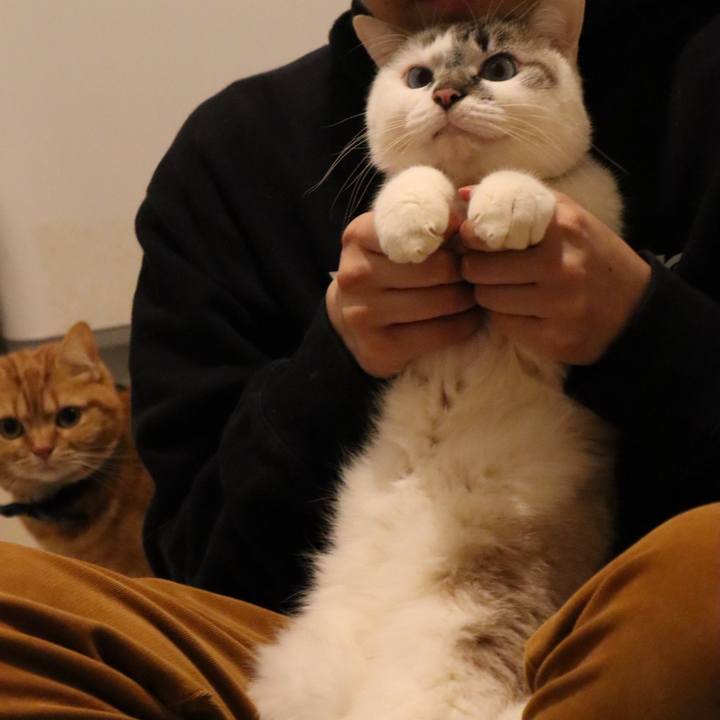 58cefab4 8d2e 4c44 85b9 7b97f3f6a159 1580732222741