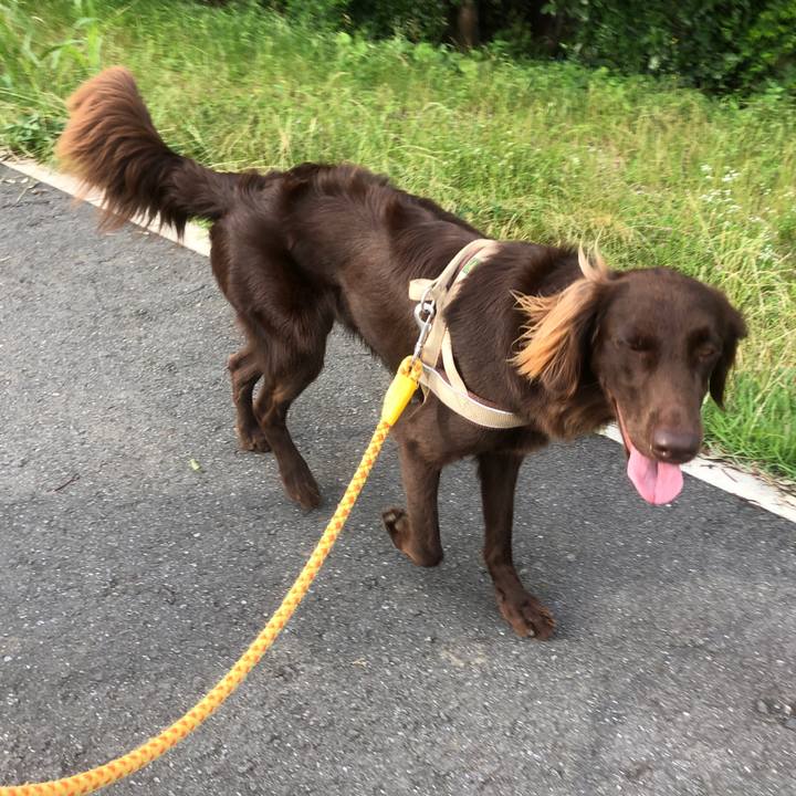 58cefffb 04a2 4626 b937 19c3691d8fa6 1593731675654