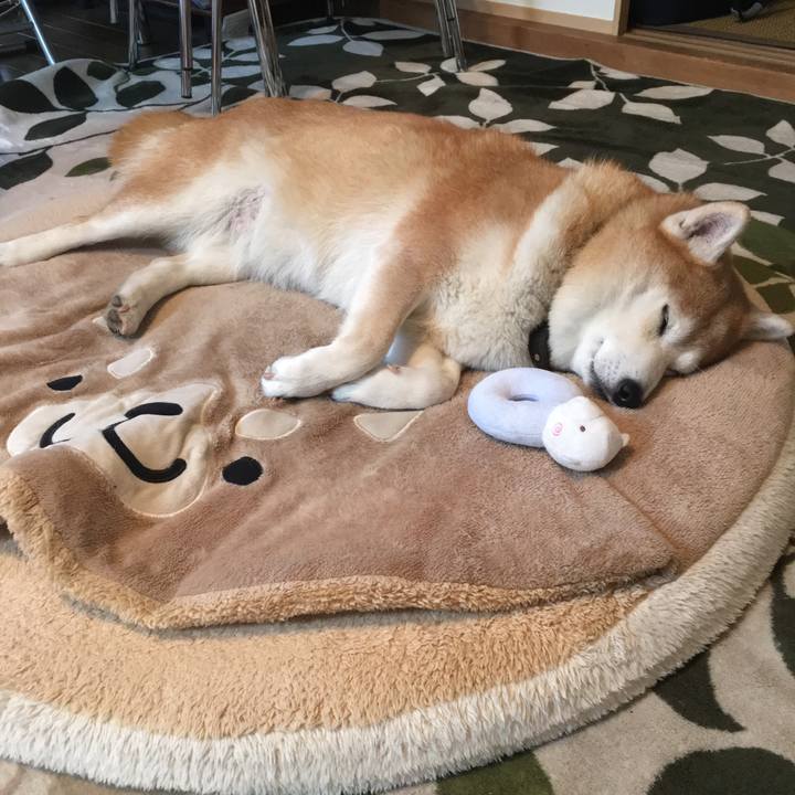 58cf07f7 27a9 43c1 a656 89911ab05259 1568246157942