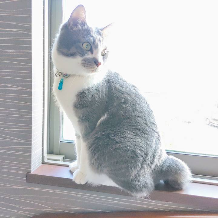 58cf15e6 5512 4a71 88a4 1b041ef96661 1713316858187