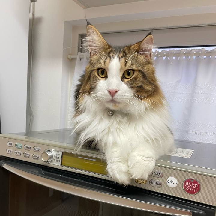 58cf302c 442f 46de 8d1b 59331e59c040 1651435137431