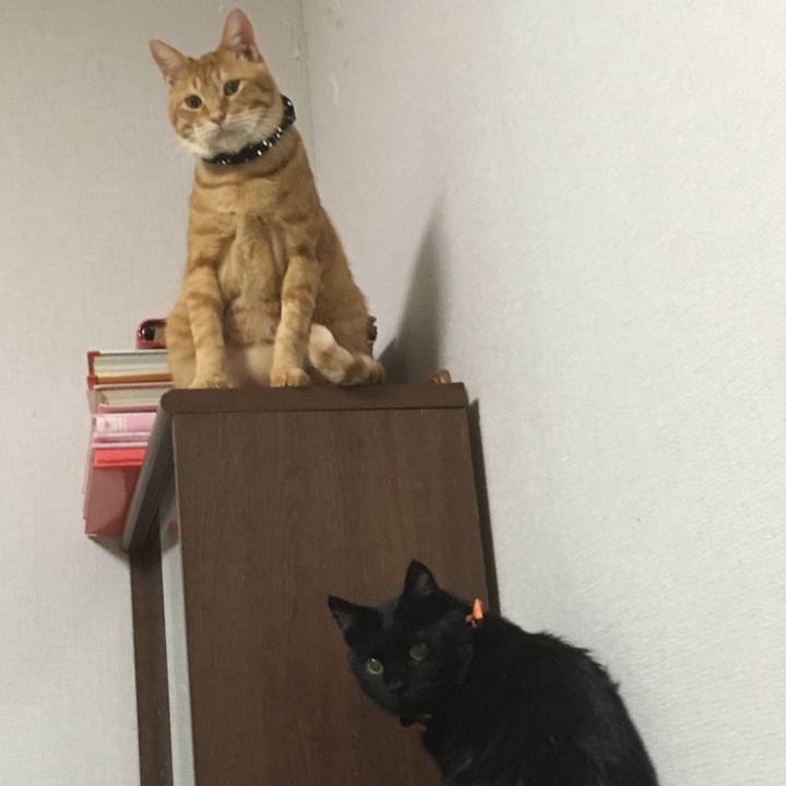 58cf5a3e 6aa5 4618 bbff 664eb8efe890 1540558722952