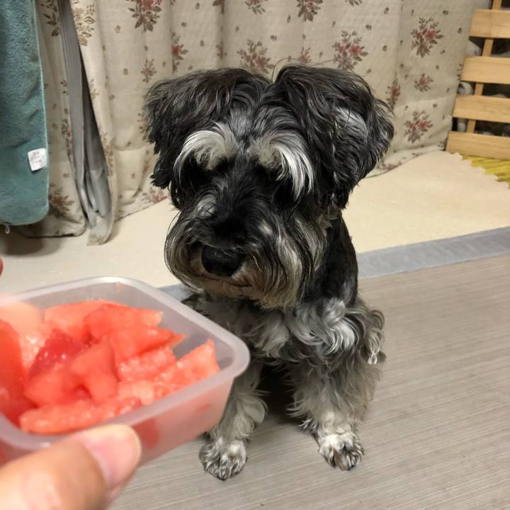 58cf682e a120 48e4 b9b2 00271e762710 1623158798394